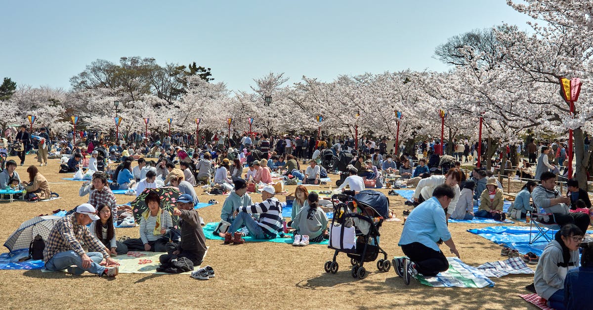 Is it safe to travel in Japan considering the nuclear situation? - People Sitting on Brown Field