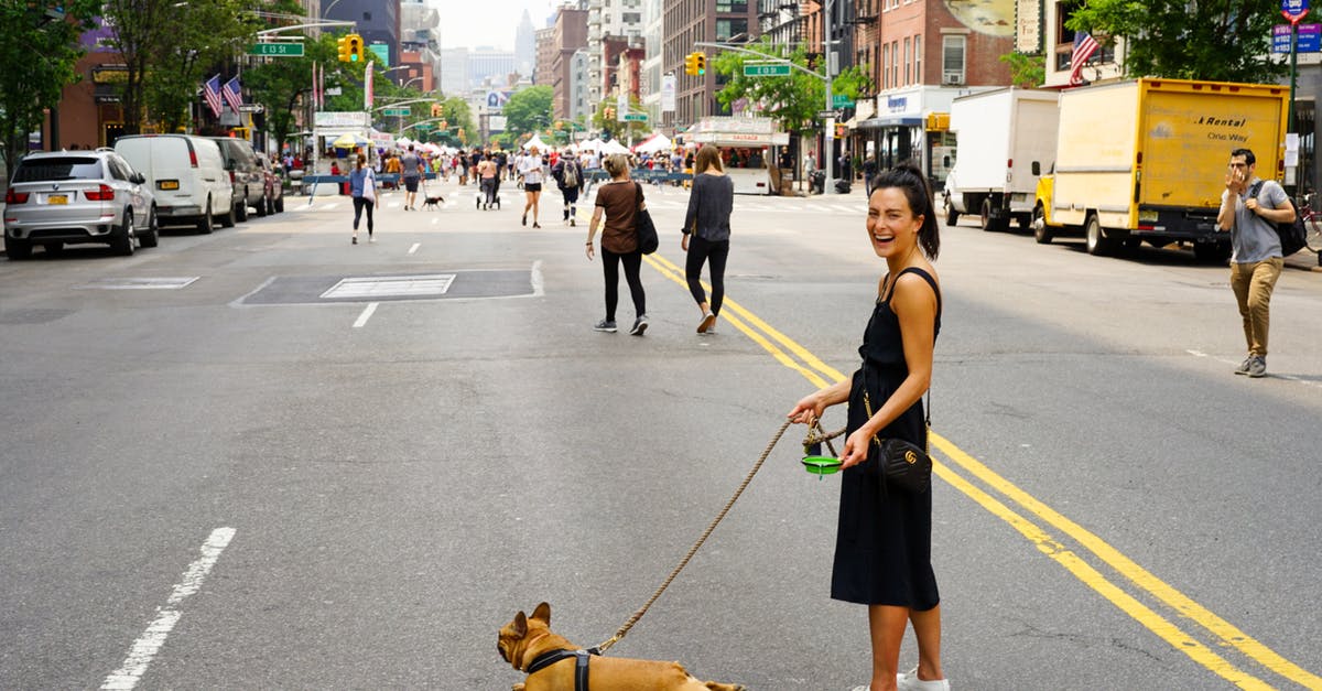 Is leisure travel a valid reason to get a second French passport? - Woman With Dog at the Middle of the Street Is leisure travel a valid reason to get a second French passport? - Woman With Dog at the Middle of the Street