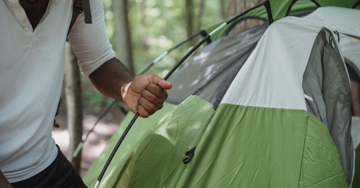 Is my American tourist visa active? - Crop unrecognizable African American male traveler in casual clothes setting up tent near tree in forest while preparing for camping