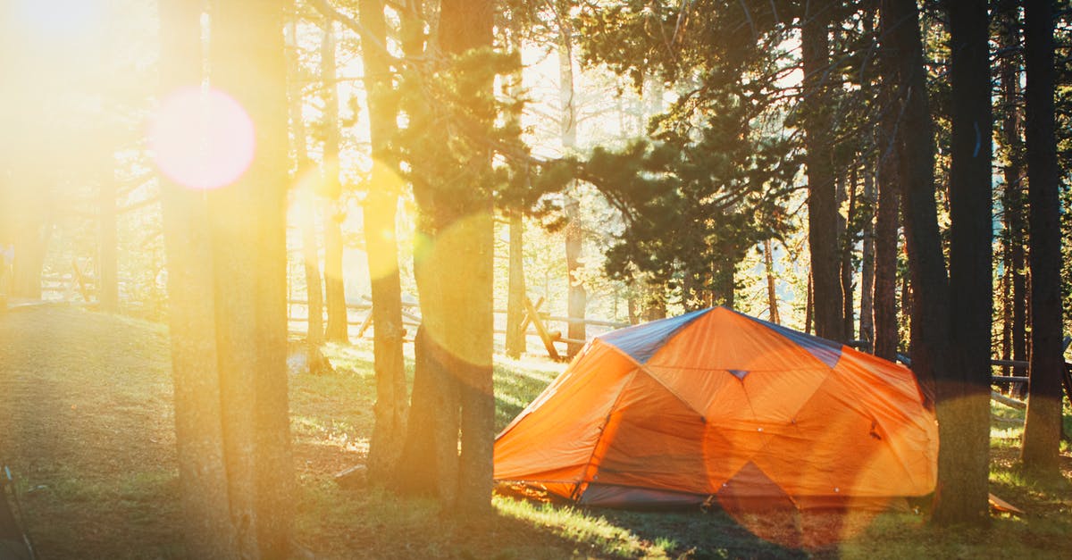 Is possible to camp in a tent in Iceland in April? - Photo of Tent in Forest