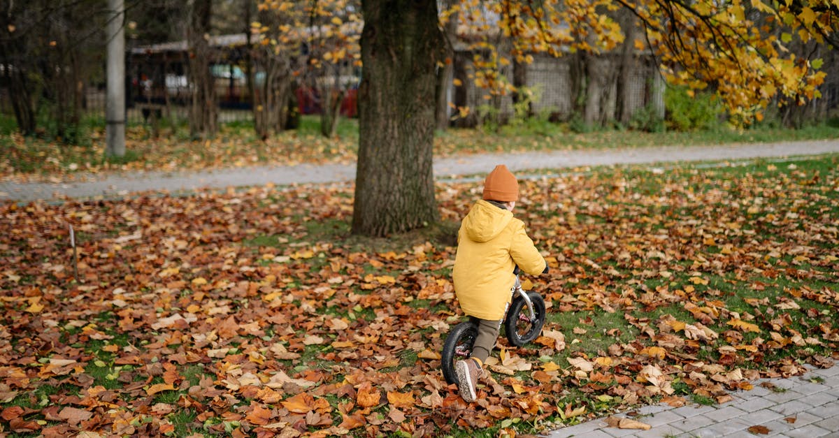 Is riding a bicycle in the parks of Glasgow allowed? - Free stock photo of descending, fall, fun