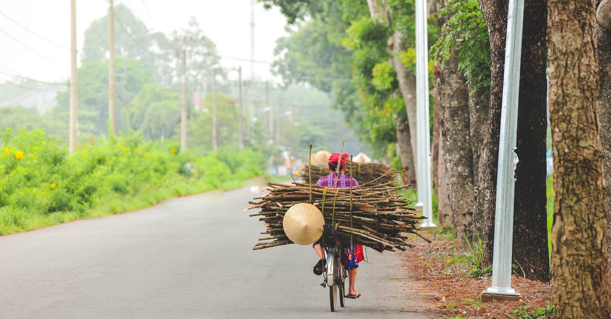 Is Roma bike sharing service active? - Anonymous person riding bicycle with brushwood on asphalt road among green trees and pillars on roadside in daylight in countryside