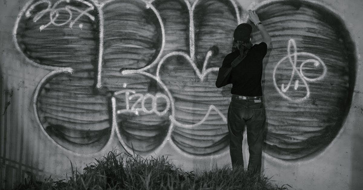 Is standing actually illegal in Venice? - Person Creating Graffiti Art on Wall