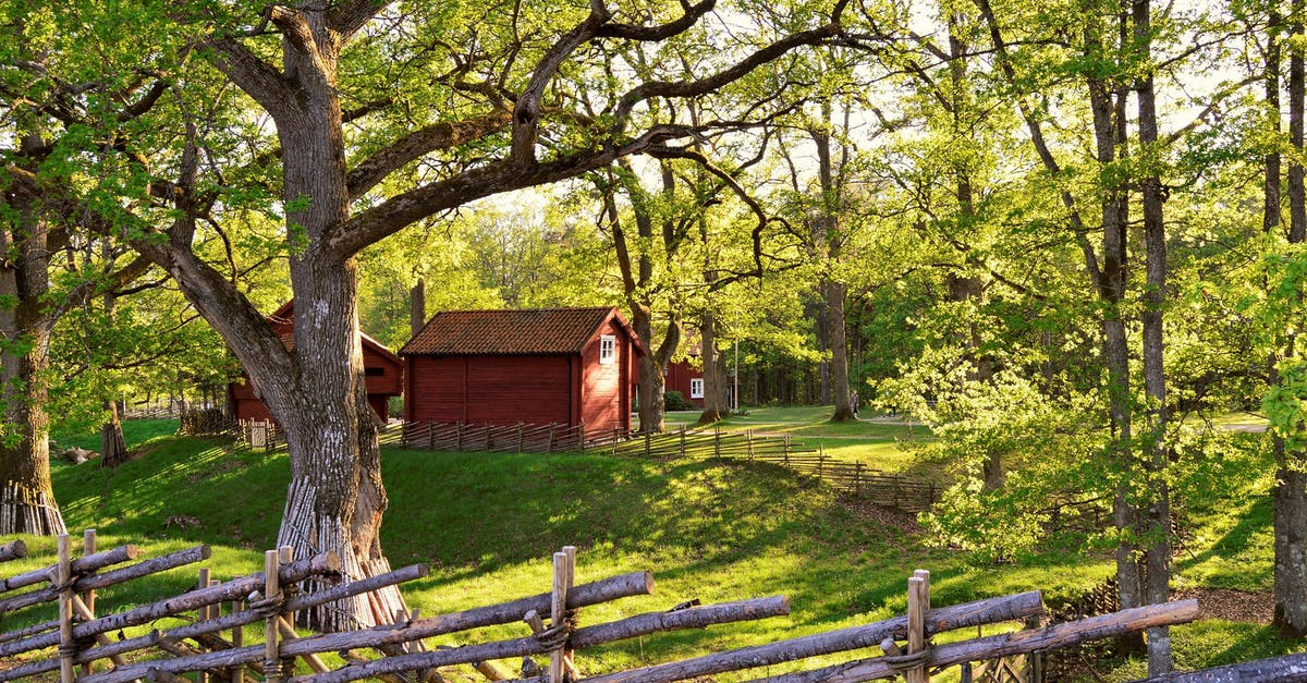 Is Sweden full of mosquitoes during the summer? - House Surrounded With Trees