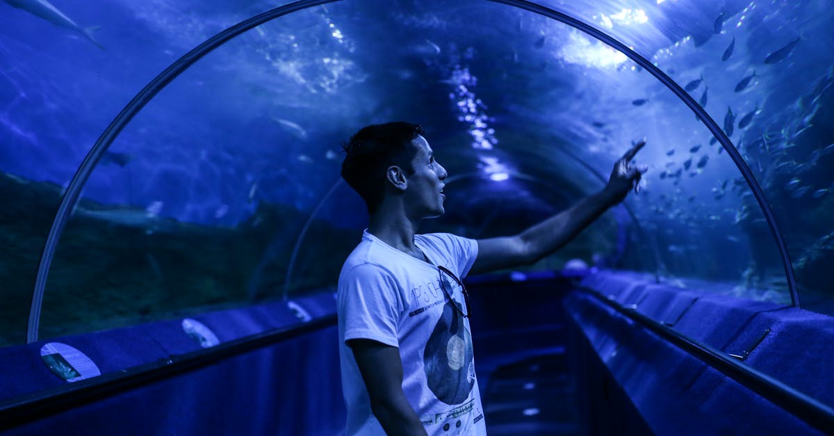 Is the Channel Tunnel in international waters? - Man in White Crew Neck T-shirt Standing in Front of Aquarium