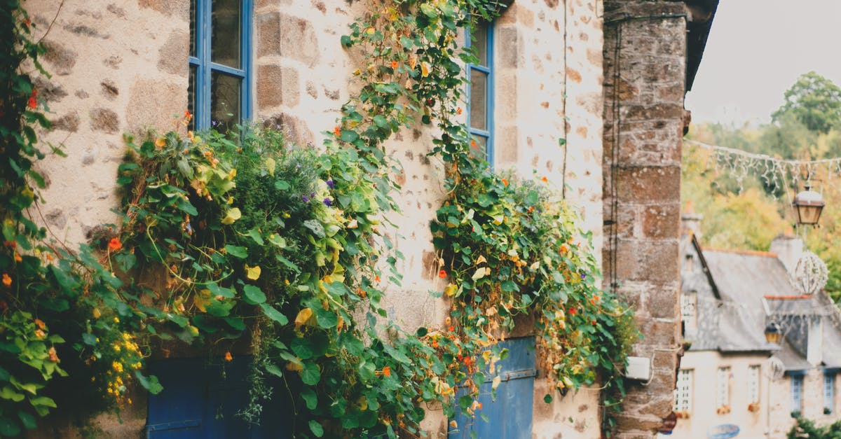 Is the EU settlement status the same as a resident card? - Exterior of rustic stone house with blue window frames and climbing plants on walls located in small village on summer day