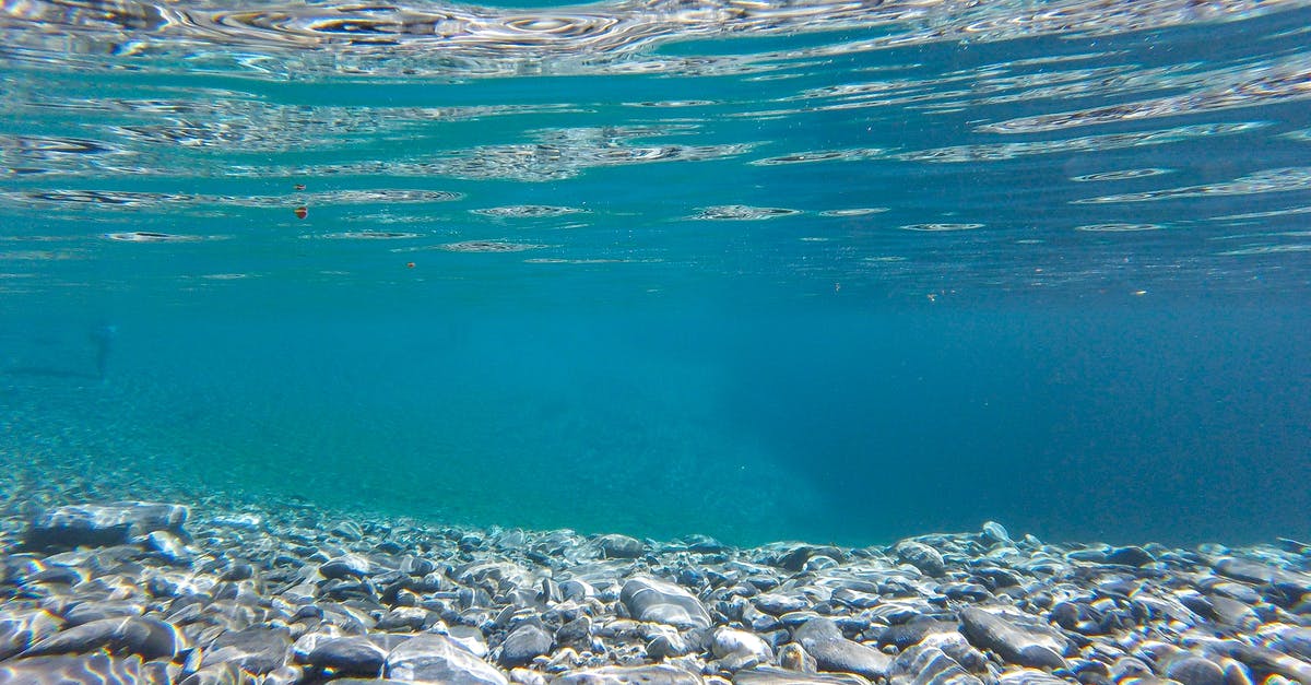 Is the Han River in Seoul clean enough for kayaking? - Underwater Photography of Clear Water