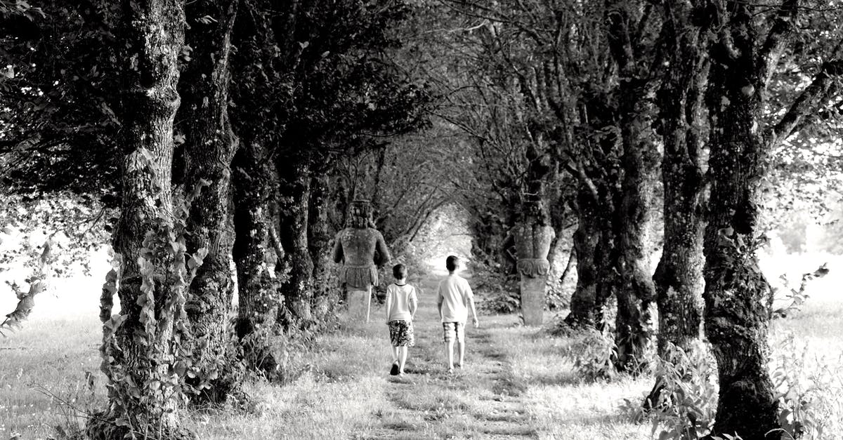 Is the Kosovan-Serbian border between Mitrovica and Novi Pazar open? - Backview of Children walking in an Unpaved Path between Trees