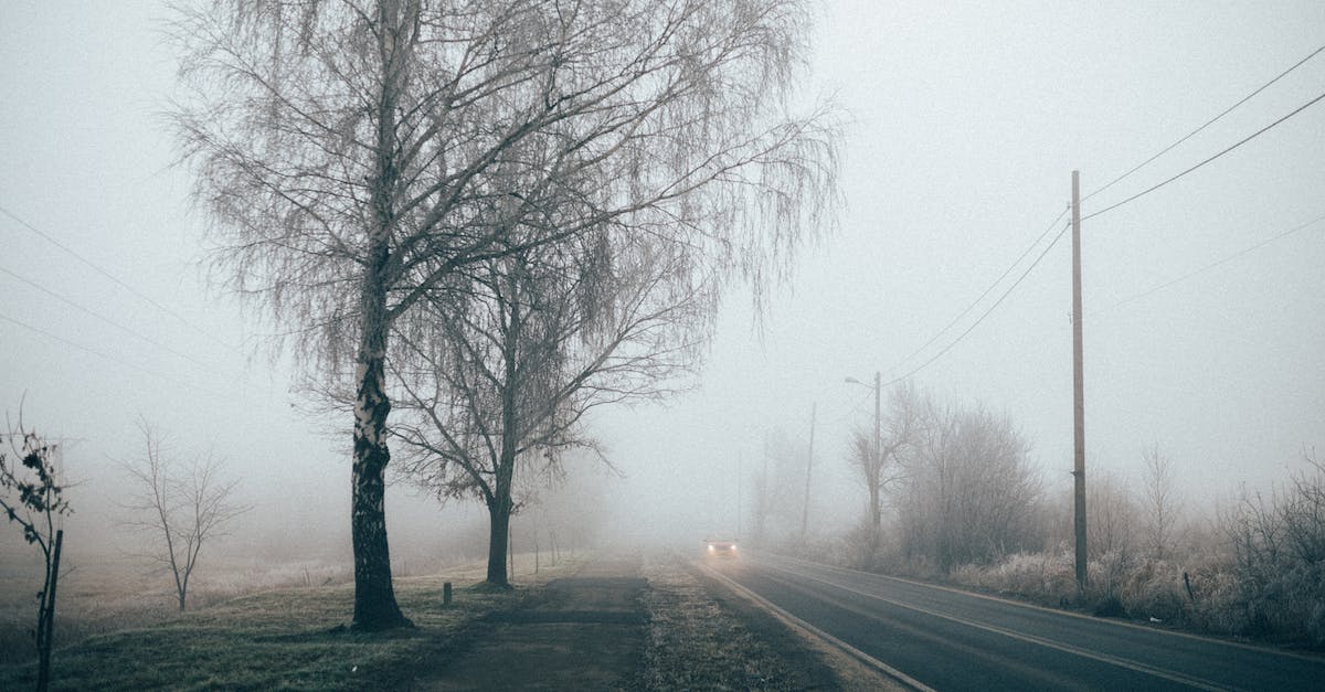 Is the Pamir highway passable in early October? - A Car Passing Though a Foggy Road