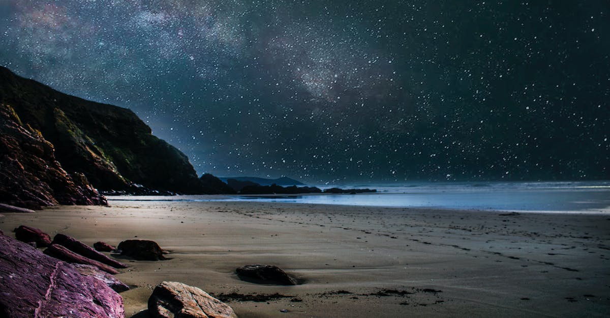 Is the Sea of Stars real? - Seashore during Nighttime