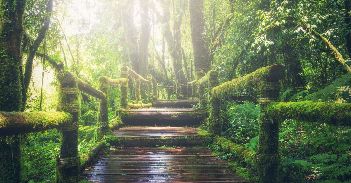 Is there a feasible way to combine hitchhiking and CouchSurfing? - Wooden Bridge on Rainforest