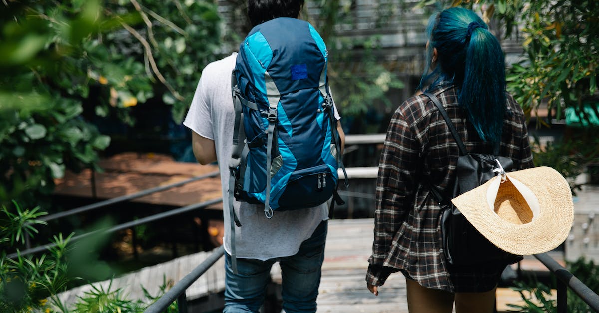 Is there a free walking tour in Honolulu? - Unrecognizable young couple walking on footbridge in green park