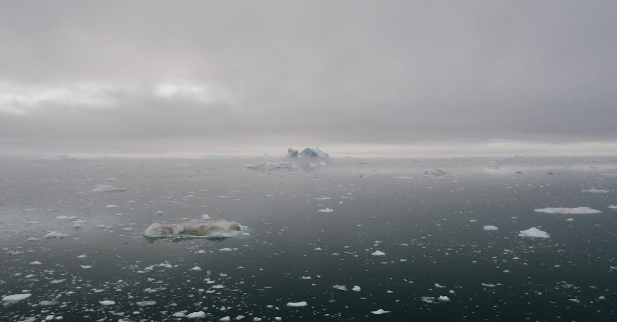 Is there a North American Air Travel Pass? - White Sea Lion on Body of Water