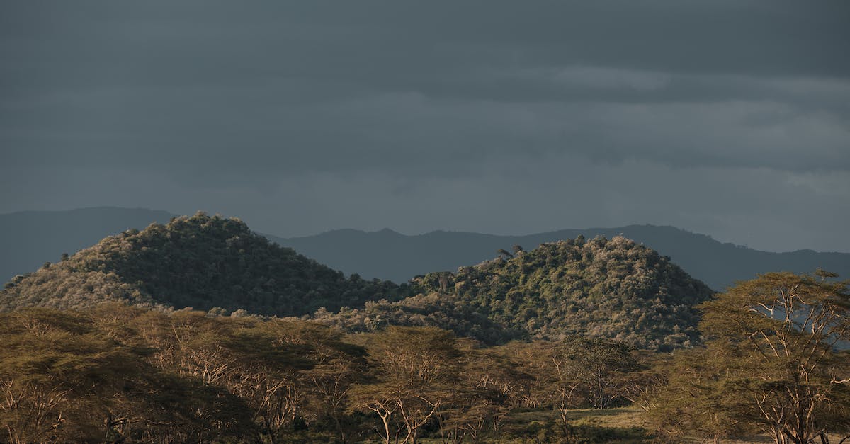 Is there a website dedicated to odd hotels? - View of Volcanic Hills in African Savanna