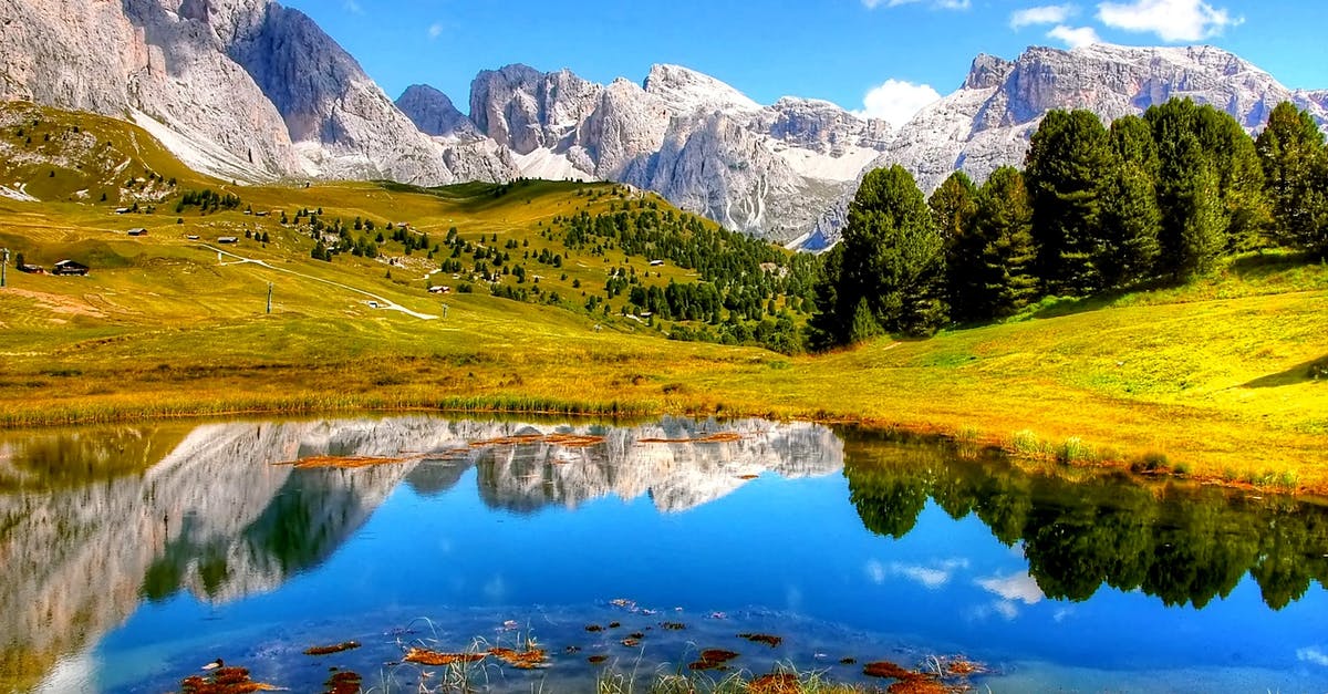 Is there a website for the Tatra mountains Polish shelters? - Trees Near Body of Water