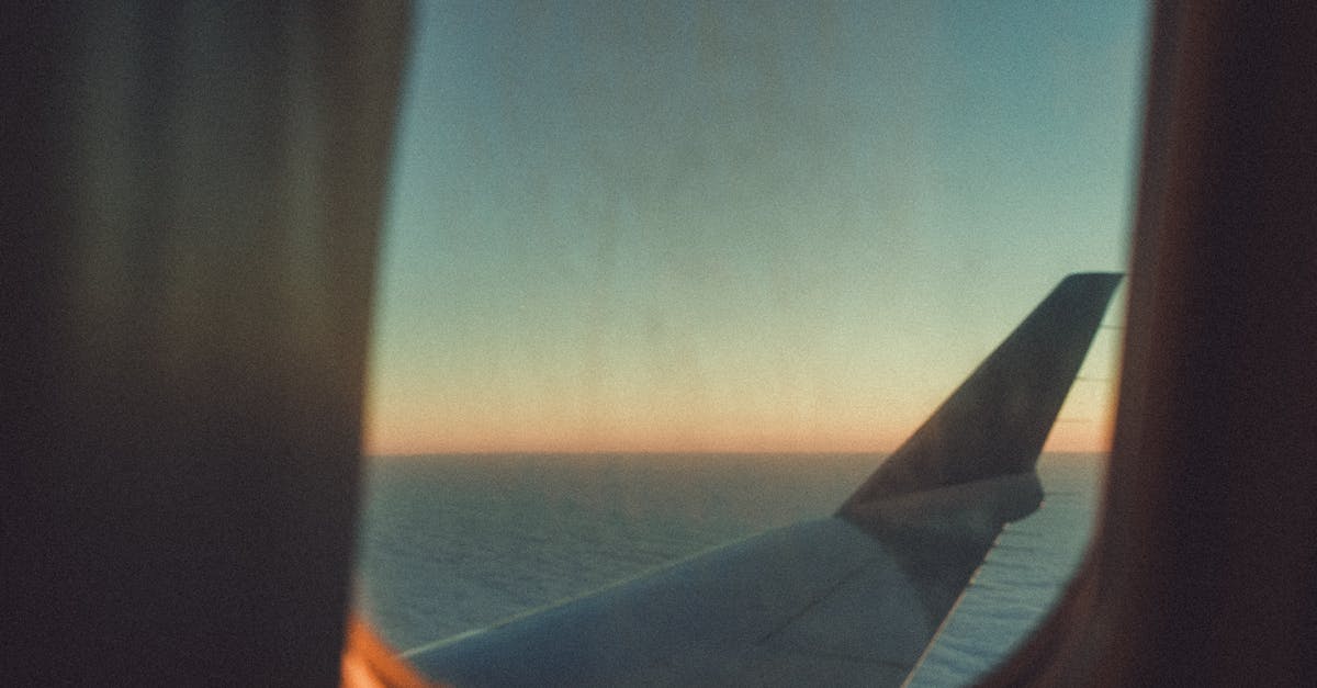 Is there an international language at sea? - White Plane Wing during Golden Hour