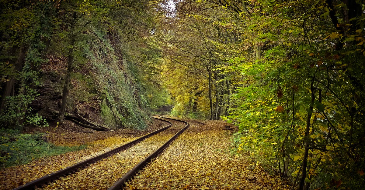 Is there any app to track the road traveled? - Road Rail Between Trees