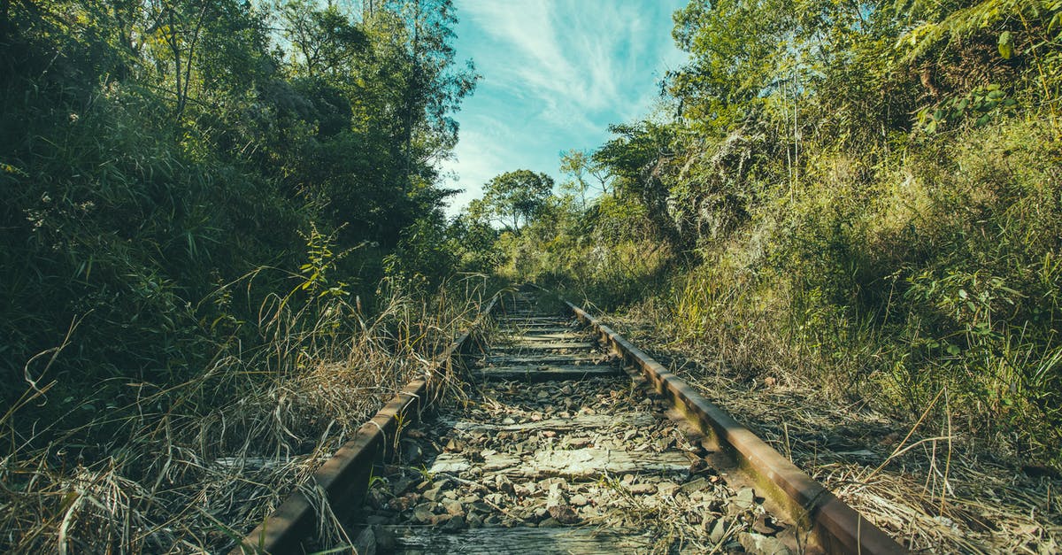 Is there any specific conditions when booking sleeper trains in Italy - Train Railway Surrounded With Trees