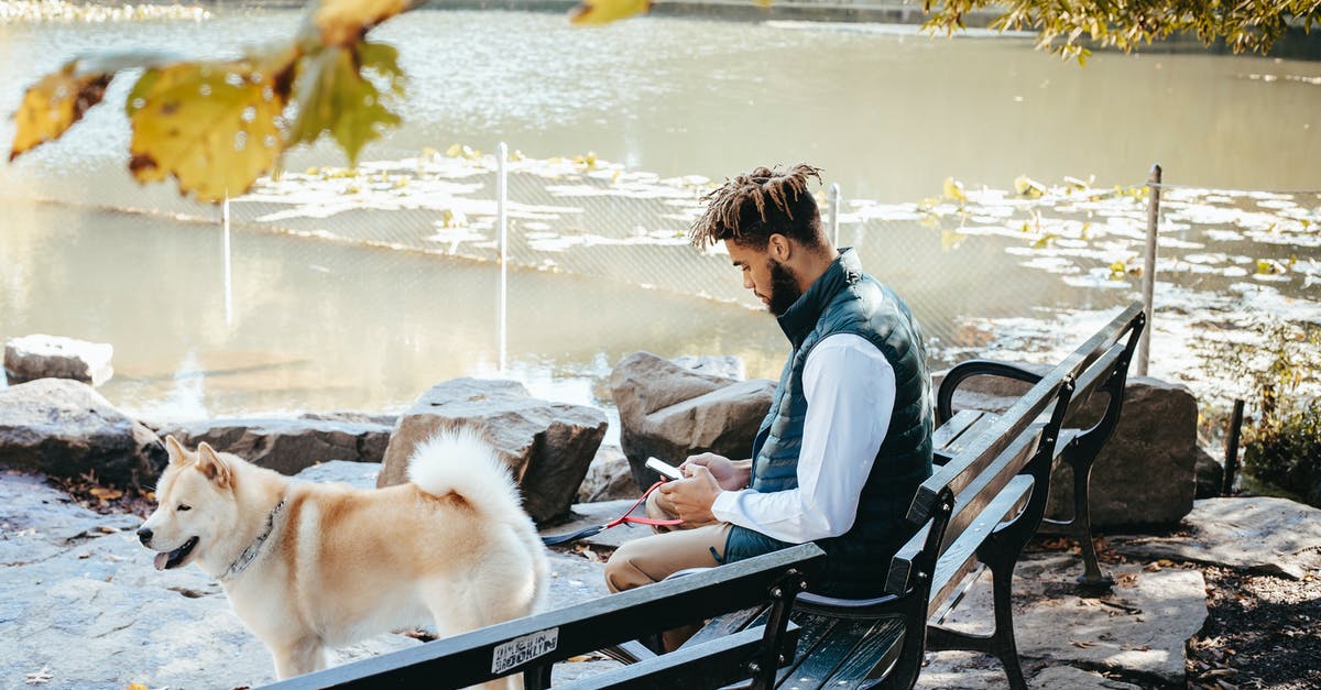 Is there any surfing in West Mersea - Side view of young focused ethnic male surfing internet on cellphone while resting on bench near West Siberian Laika against pond