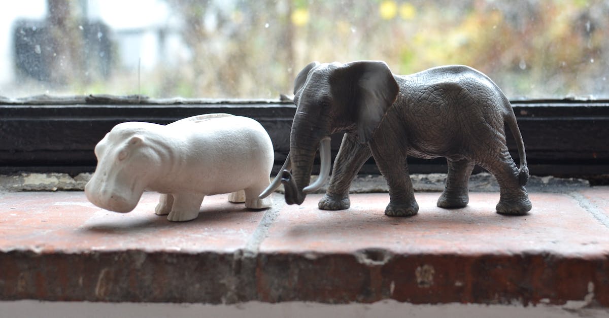 Is there anywhere I can decorate an elephant as a tourist? - Statuette of elephant and hippopotamus on windowsill