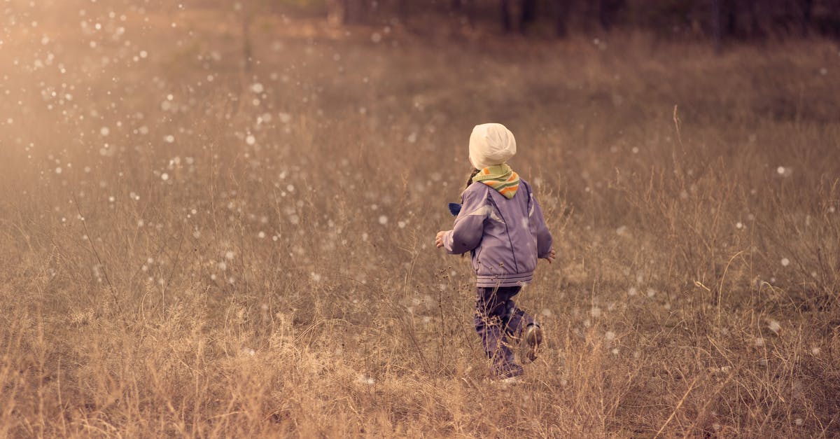 Is there free parking in Springdale, UT, USA? - Child Walking on Grass Path