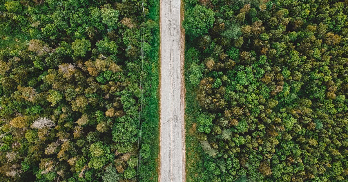 Is there no direct straight road from Wailea to Route 37? - Aerial view of shabby narrow roadway between bright greenery tree tops in forests in daytime