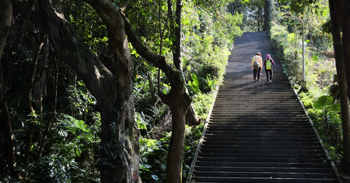 Is there still tubing going on in Vang Vieng, Laos? - People Going Stairs in Park