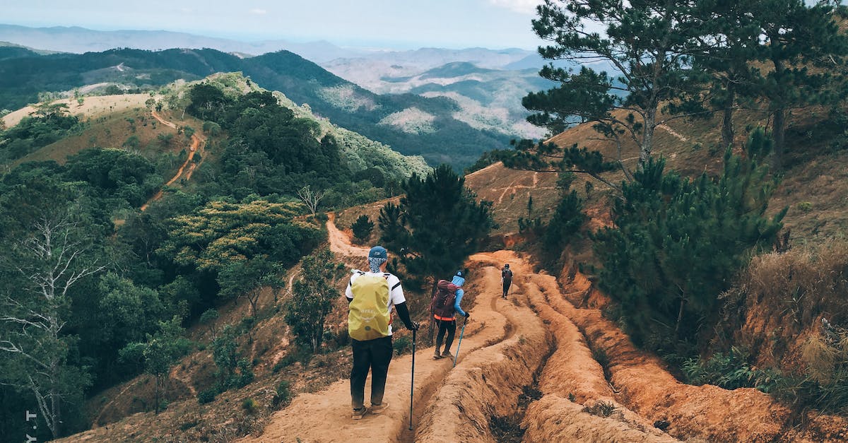 Is this a realistic backpacking trip in Europe? - Back view of unrecognizable hikers with trekking poles traveling in green hilly valley