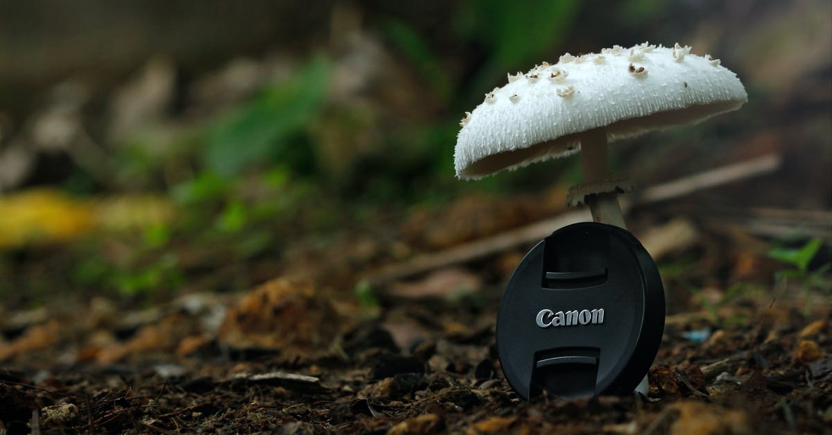 Is throwing stuff on the ground a common/known pickpocketers strategy? - White Button Mushroom With Black Canon Camera Zoom Lens Cover