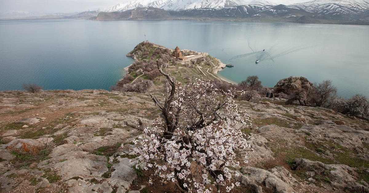 Is Van a good base to visit Turkey and Kurdistan? - White Flowers Near Body of Water