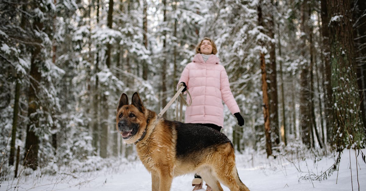 Is winter of Bangkok very cold? - Man in Brown Jacket Standing Beside Brown and Black German Shepherd on Snow Covered Ground during