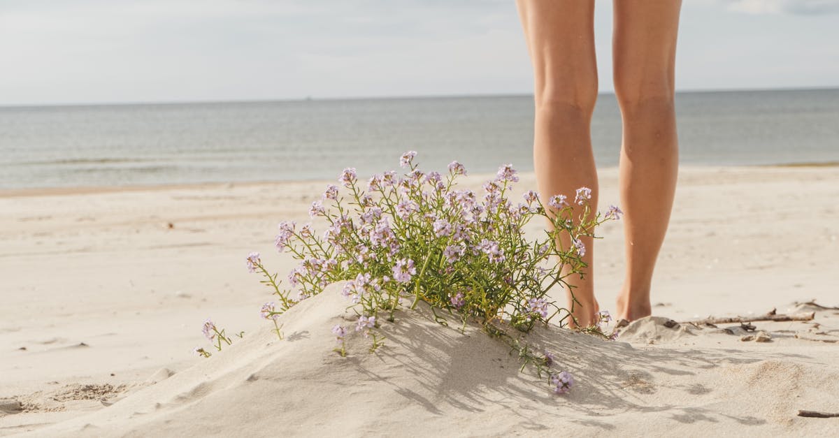It is cheaper to buy the whole trip or leg by leg? - Crop traveler on sandy coast against endless sea and flowers