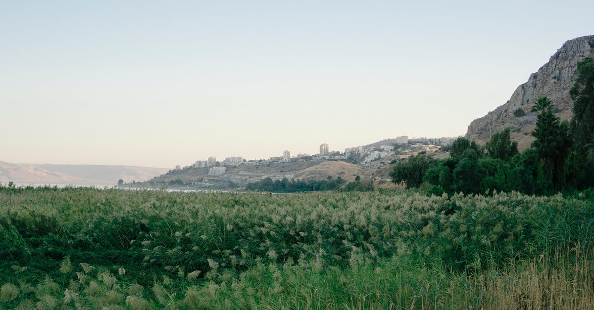 Itinerary for Galilee and the Golan - Green Grass Field Near Mountain