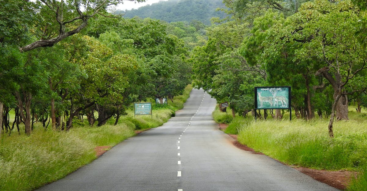 Itinerary for the south of India - Gray Concrete Road Between Green Trees