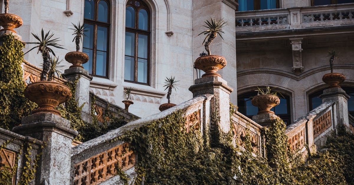 Jamaican with green card visiting Italy - Potter Plants on Stairs of Building