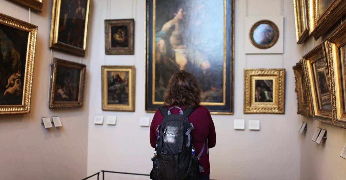 Joining the hop-on/off tour of Paris from CDG airport - Woman Standing In front Of Paintings