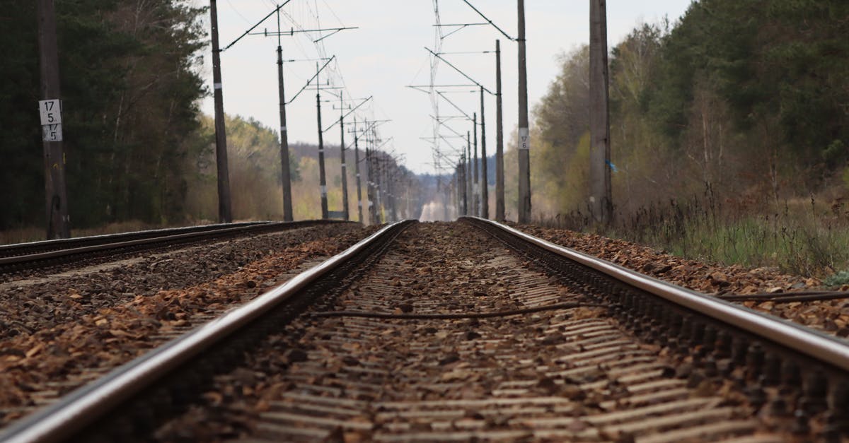 Journey planner for finding intercity train connections in China? - Railway surrounded by forest and wires