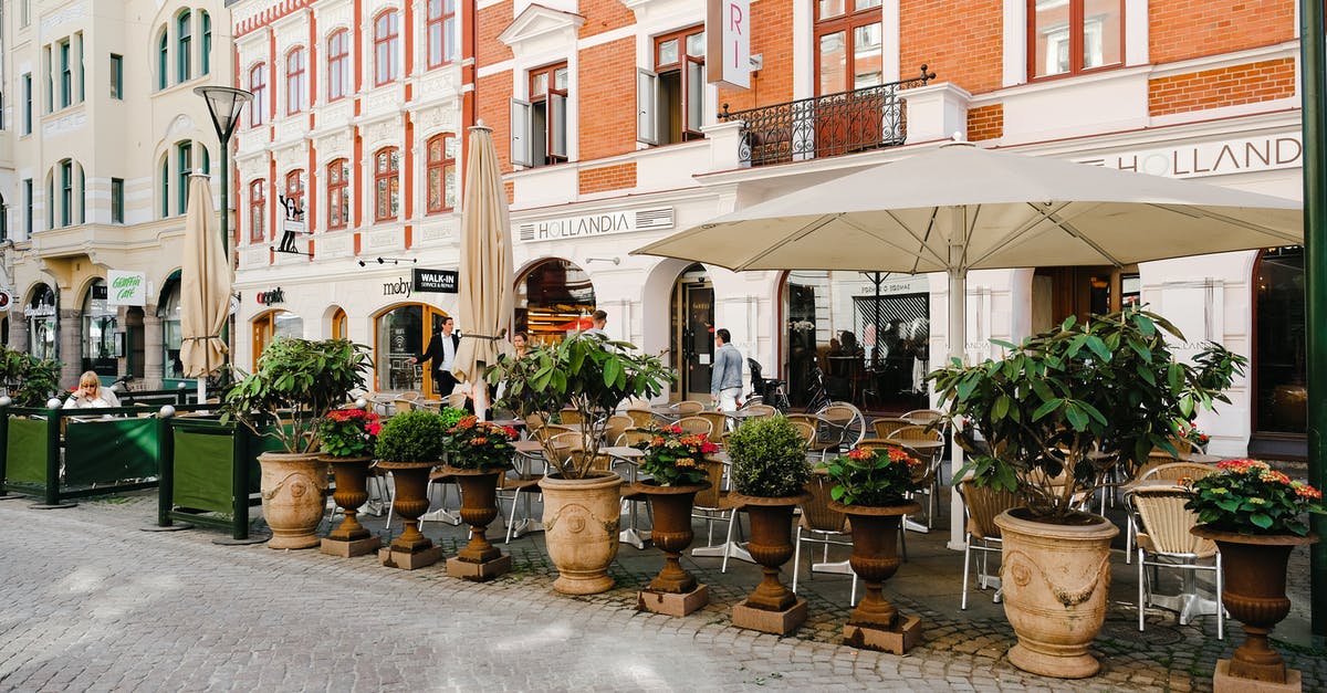 Kenyan citizen travelling to Sweden - Green Leaf Potted Plant