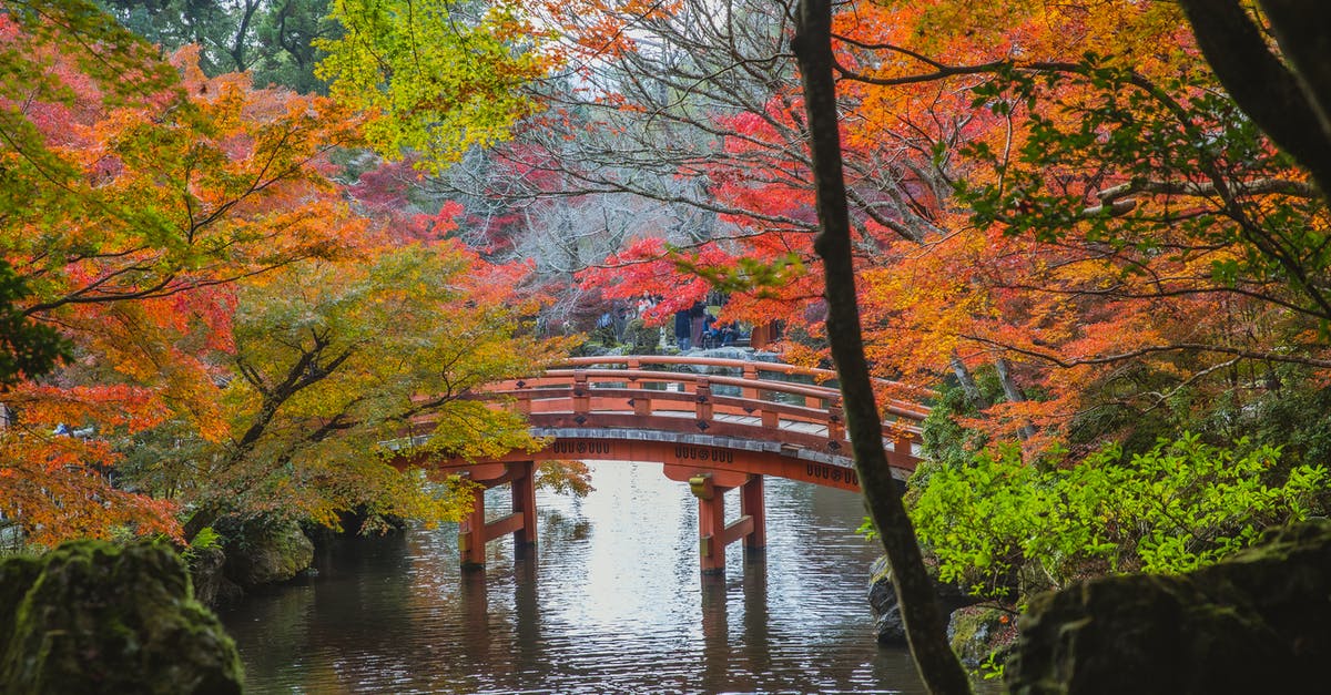 Korean and Japanese visa needed for travelling? - Arched bridge over calm lake in Japanese park