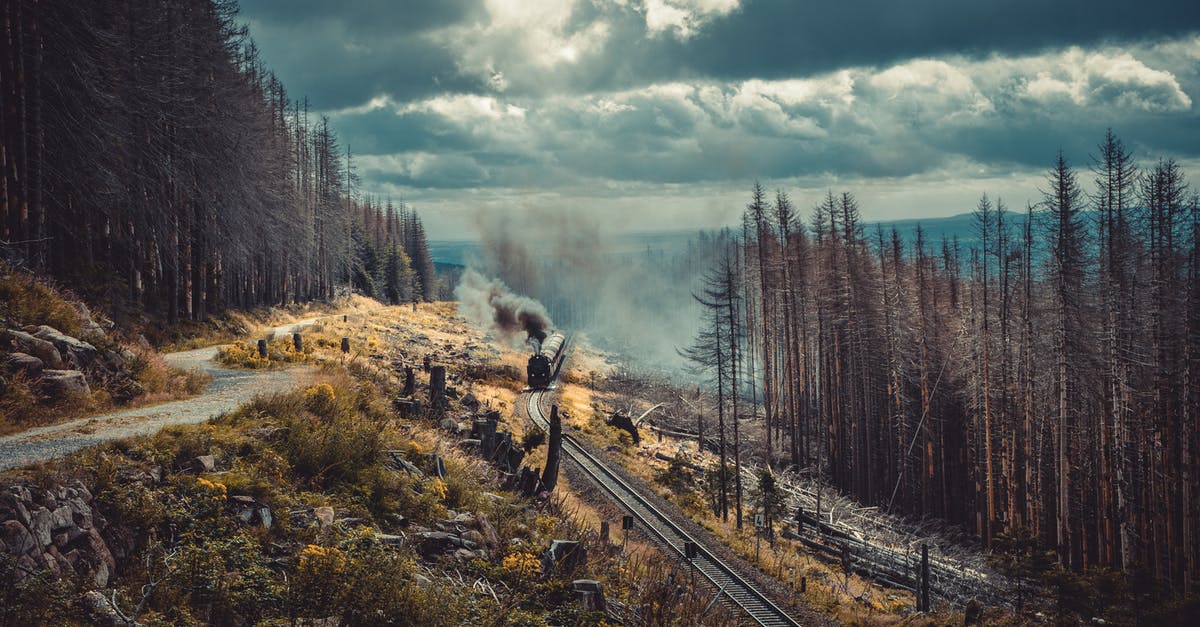 Krakow to Warsaw by train - is it scenic? - Green Trees Under White Sky