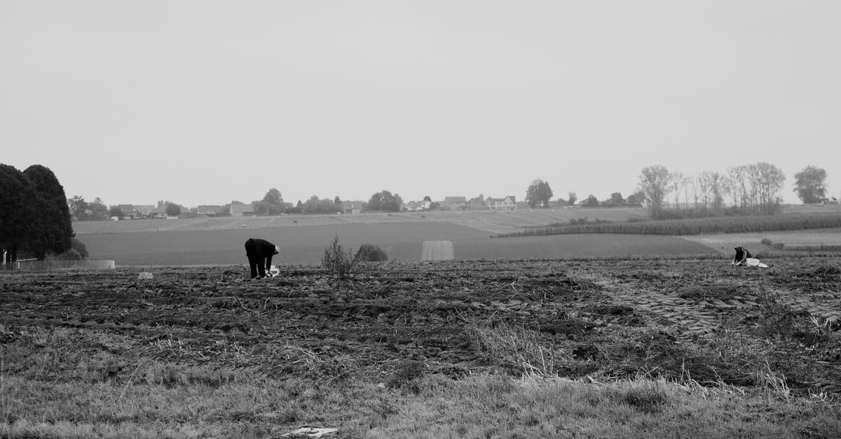 Labor Day Monday - Niagara or DC? [closed] - Faceless people working in field in daytime