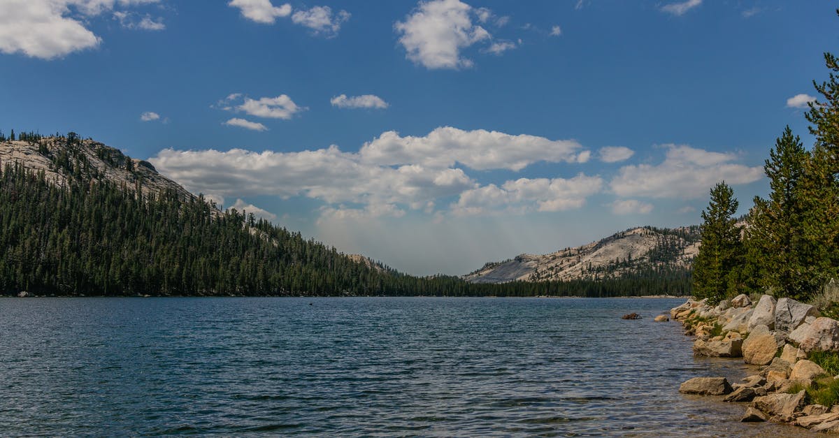 Lake Tahoe or Yosemite in Jan? [closed] - Body of Water and Trees