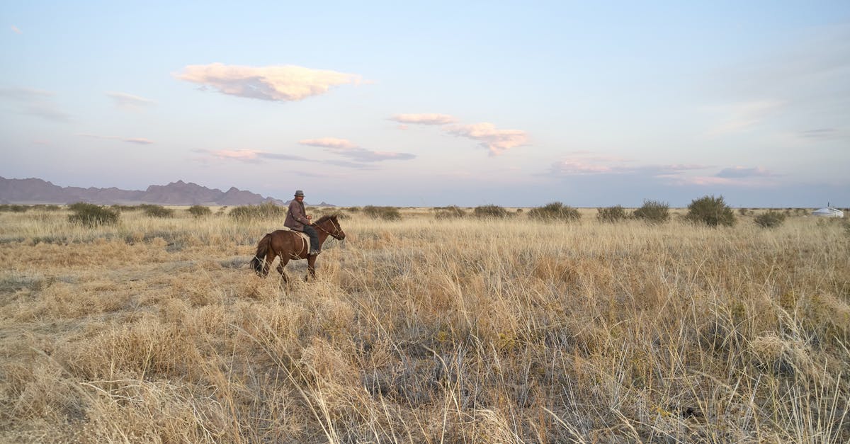 Land Rover in Mongolia with no hired driver - Anonymous male in warm clothes riding horse in wide field in daytime in summer