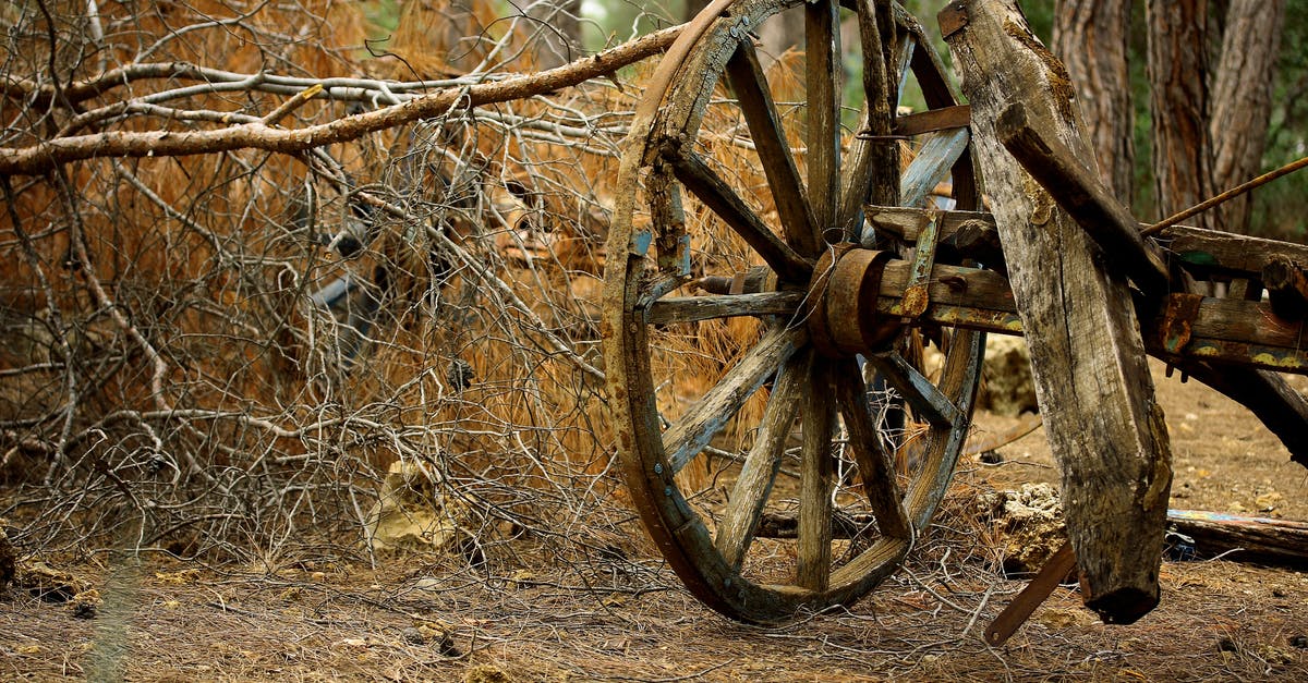 Land transportation between Asunción, Paraguay and Santiago, Chile - Brown Carriage Wheel