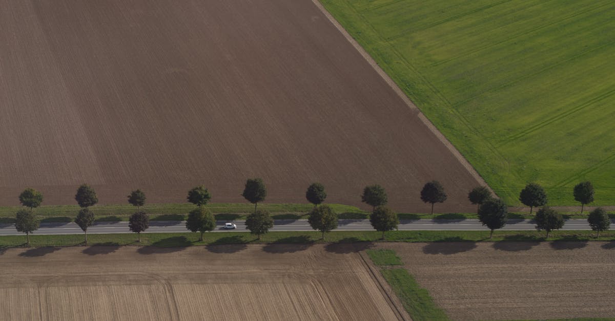 Land transportation between Asunción, Paraguay and Santiago, Chile - Green Trees