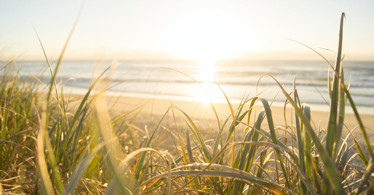 Landing in Australia without a Visa - Sea Horizon