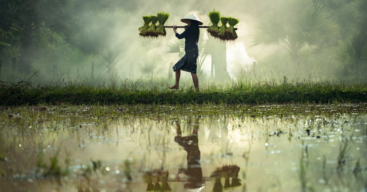 Language culture and Food culture in South India? - Man in Water