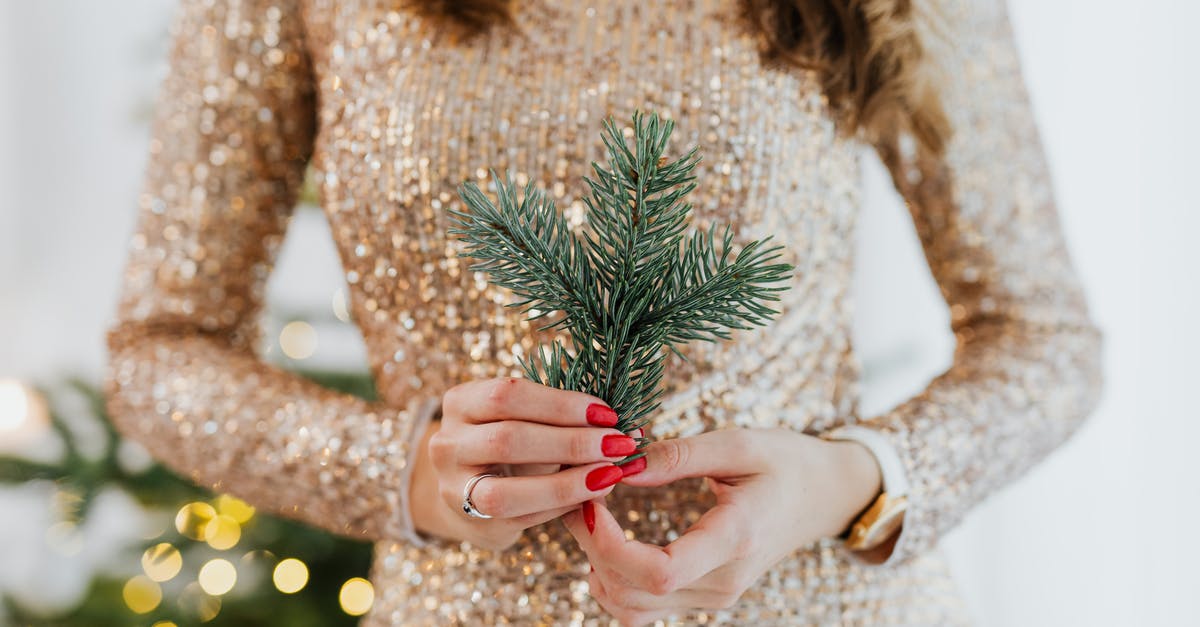 Laos citizen to holiday in Australia [closed] - Close Up of Woman Hands Holding Spruce Twig