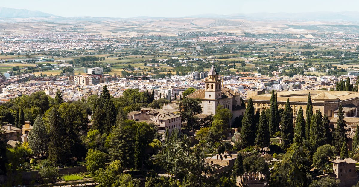 Last minute Alhambra tickets in Granada - Green Trees and City Buildings High Angle Photography