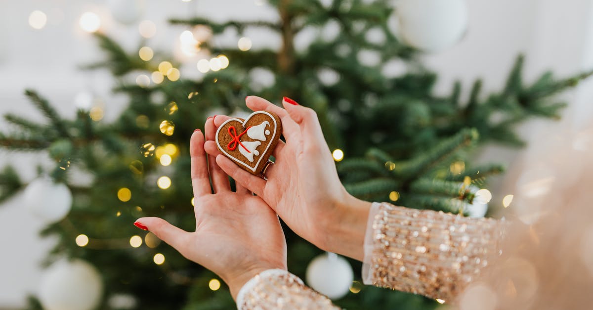 Layover at DEL T3 Holiday Inn - Person Holding Red and White Heart Ornament